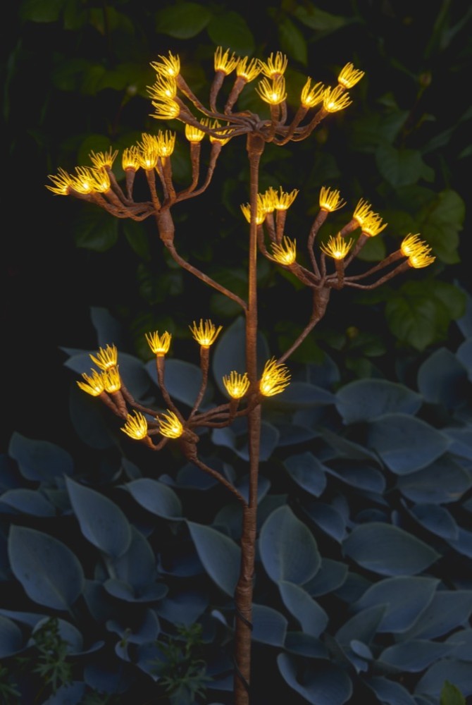Fennel Branch
