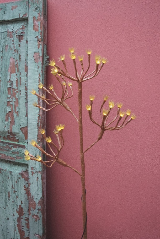 Fennel Branch