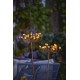 Solar Wild Fennel